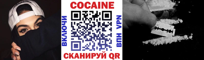 MEGA онион  Касимов  Cocaine FishScale  сколько стоит 