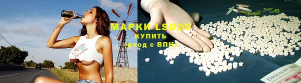 индика Елабуга