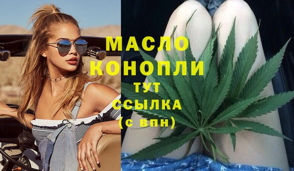 индика Елабуга