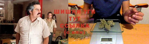 метадон Елизово