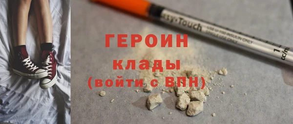 индика Елабуга