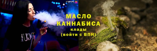 индика Елабуга