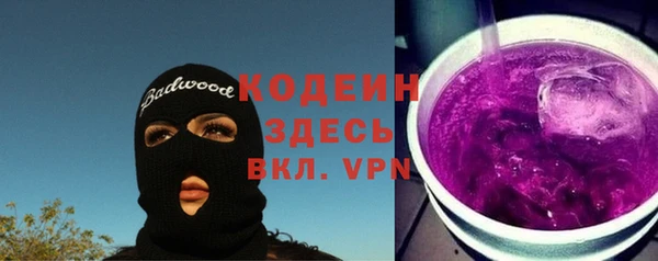 индика Елабуга