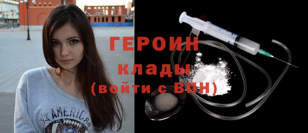 индика Елабуга