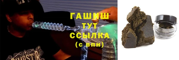 индика Елабуга