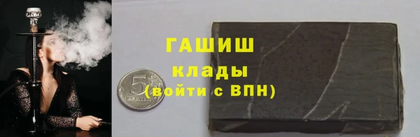 индика Елабуга