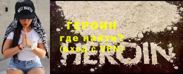 индика Елабуга