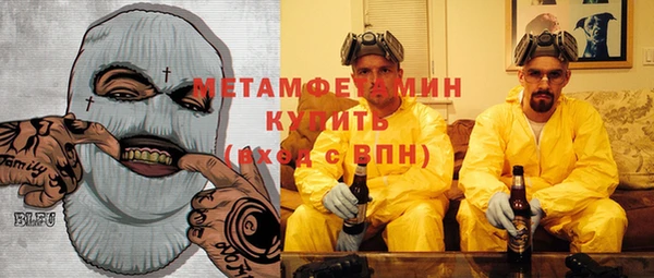 индика Елабуга