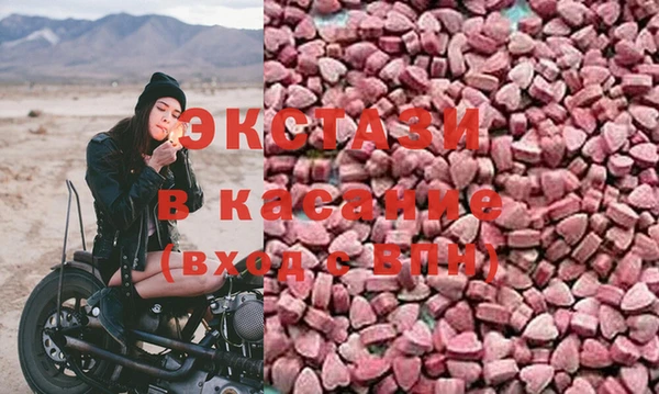 индика Елабуга