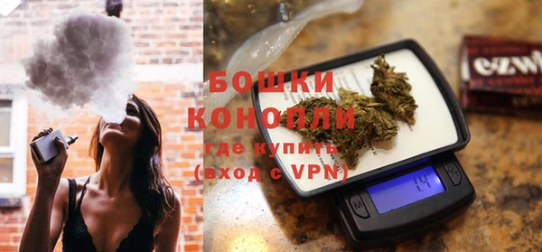 индика Елабуга