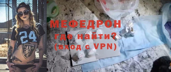 индика Елабуга