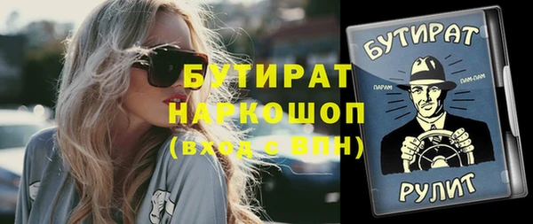 индика Елабуга