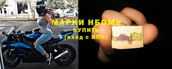 индика Елабуга