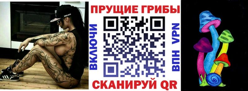 Псилоцибиновые грибы GOLDEN TEACHER  даркнет как зайти  Касимов 