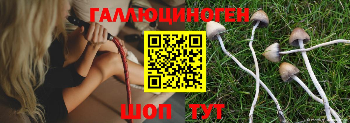 Псилоцибиновые грибы мухоморы Касимов